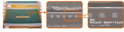 SEM Image of Cross Section